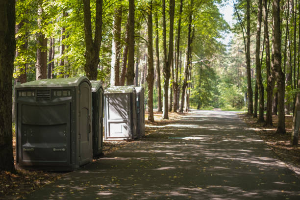 Best Luxury portable toilet rental  in Shannondale, WV
